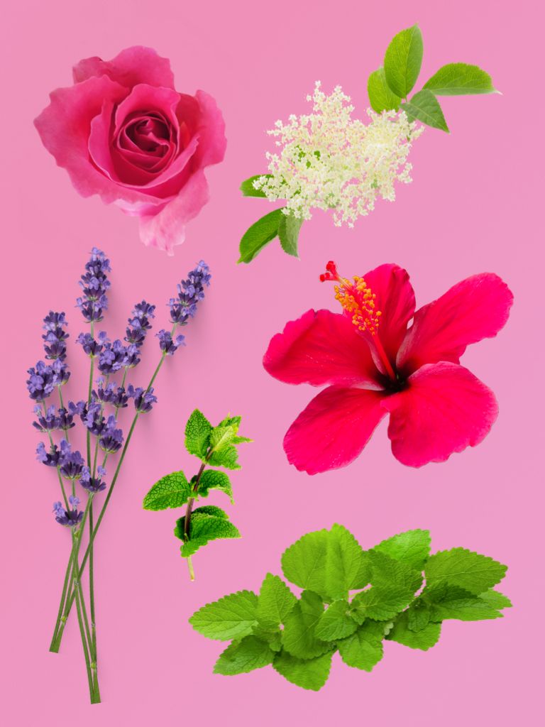 BLOOM Limited Edition Summer Cold Blend