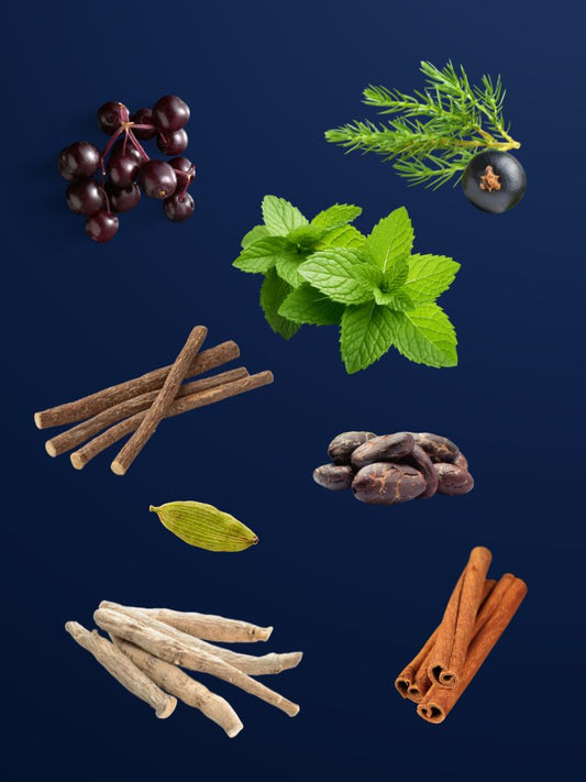 WINTER SOLACE Limited Edition Winter Blend