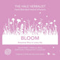 BLOOM Limited Edition Summer Cold Blend