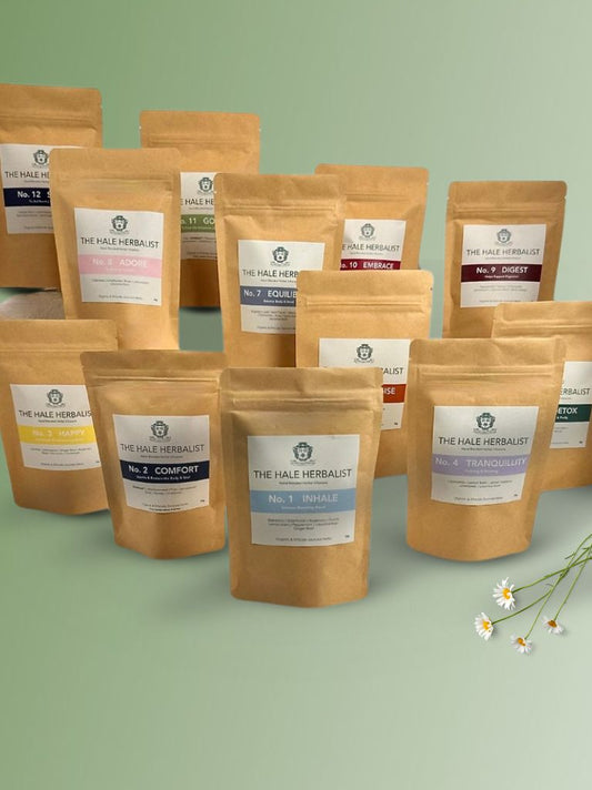 Herbal Infusion Discovery Collection